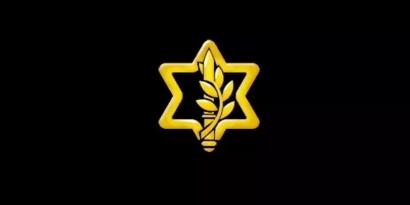 @for_idf